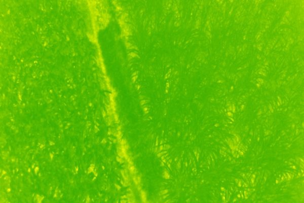 DJI_0003F3