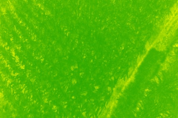 DJI_0008F8